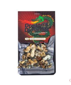 Buy Dragon’s Dynamite Magic Truffles