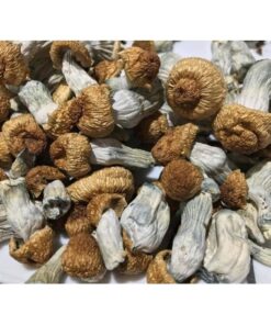 psychedelic mushrooms for sale in oakland california