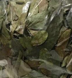 Coca Leaves 500grams