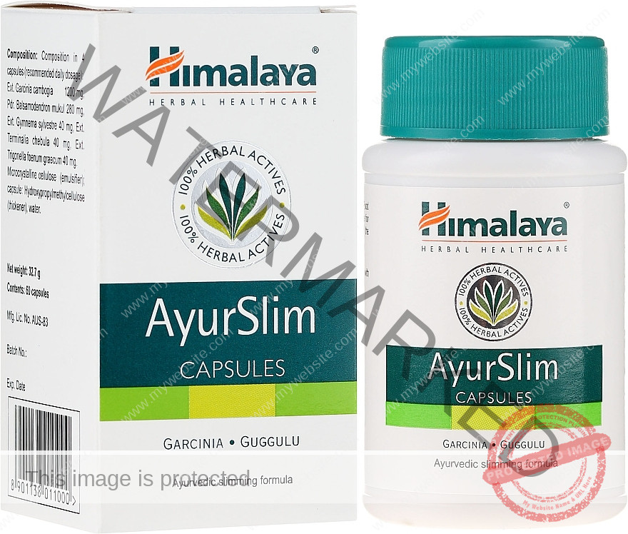 ayurslim ingredients